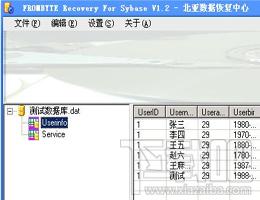 北亚Sybase数据库修复软件,北亚Sybase数据库修复软件下载,北亚Sybase数据库修复软件官方下载